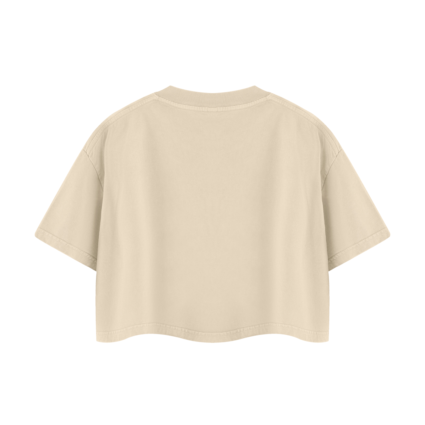 Women's Mineral Wash Cotton Crop T-Shirt